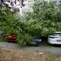 Oluja u Zagrebu rušila stabla, jako nevrijeme pogodilo Bihać