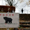 Japan beleži rekordnih 230 napada medveda između aprila i novembra
