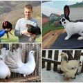 Novi hobi osvaja Šumadiju, a „Detlić“ je za sve „kriv“: Oni su ljubitelji ukrasne živine, evo priče