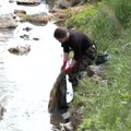 Valjevski volonteri čiste korito Ljubostinje