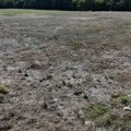 Veliki požar kod Čačka: Gorelo preko 30 ari; Gust dim se video iz celog grada FOTO/VIDEO