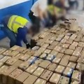 Prenosili 11 tona kokaina u smrznutoj tunjevini! U velikoj akciji španske policije uhapšeno 20 pripadnika balkanskog kartela!