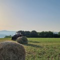 Srbin prodaje seosko imanje za 13.500 evra: Okućnica, šuma, u srcu Šumadije, a ima i vodu i struju!