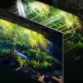 Neo Qled 8K i 4K: Savršenstvo slike uz moć veštačke inteligencije