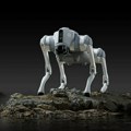 Drugačiji kućni ljubimci: Još jedan robot-pas