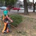 Održavanje javnih površina, kvartova i reparacija mobilijara