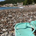 Veći deo sveta ima dva meseca toplotnog stresa više nego 1970-tih