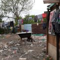 Inicijativa A 11: Srbija država socijalne nepravde, negiranje i zloupotreba siromaštva