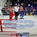 Petar Dinić iz Kik boks kluba Bor juniorski svetski prvak