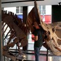 Naučnici otkrili novog dinosaurusa sa pačijim kljunom starog 72 miliona godina