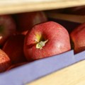 Ruska služba dolazi u inspekciju preduzeća u Srbiji zbog pesticida u jabukama