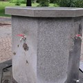 FOTO, VIDEO: Privremeno "betonirana" česma u Dunavskom parku