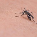 Da li sapun može da spreči ujede komaraca – ključ je u jednom sastojku