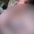 (Uznemurujući video) piton progutao ženu Meštani rasporili zmiju i našli telo