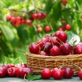 Kako najlakše da očistite trešnje od koštica: Potrebne su vam samo ove dve stvari