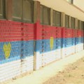 SNS i "molerski patriotizam": Aktivista i analitičar glavni u krečenju, na šta su sve spremni pred izbore
