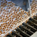 Otkrivena najveća ilegalna fabrika cigareta u istoriji Italije