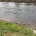 Srpska reka na ivici opstanka! Riba uginula, oglasili se ribolovci: Zakasnili smo