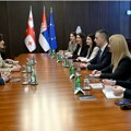 Đurić sa Bočorišvili o jačanju saradnje i otvaranju ambasade Srbije u Gruziji (VIDEO)