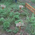 Туризам у служби релаксације и здравља: На Златару ниче пет нових мини-ботаничких башти лековитог биља