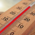 Narednih dana u Novom Sadu nema odmora od vreline: Najniža temperatura biće 21 stepen