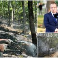 Srbija gori, šta radi država? Dačić: Širom Srbije više stotina požara - u Kragujevcu 148, u Kruševcu 10 angažovani Svi…