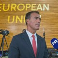Lider Evropskih demokrata: Prekid represije, reforme i posredovanje put ka izlasku iz krize u Srbiji