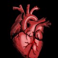 Povodom svetskog dana srca Program „Da srce kuca kao sat“