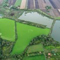 Nešto čudno se dešava na paliću: Jezero potpuno pozelenelo, oglasili se nadležni: Evo o čemu se radi (foto)