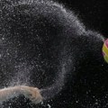 Srbija izgubila od vicešampiona planete: Mađarska bez titule, novi prvak sveta se razgoropadio u završnici!