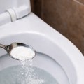 Svi ovo imaju kod kuće, košta manje od 40 dinara, a čini čuda: Pospite u WC šolju i rešite se kamenca bez ribanja