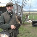 Soko čuvar i vinograda: Miloš Jovanović iz Pukovca kod Niša već 15 godina uspešno uzgaja ptice grabljivice