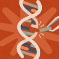 Claude otkrio novi CRISPR sistem - naučnici osporavaju zaslugu AI-a