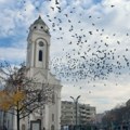Nova-stara turistička organizacija: Smederevci, posle šest godina od ukidanja, ispravljaju grešku tadašnje lokalne…