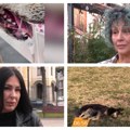 Srbija ponovo u začaranom krugu trovanja životinja: Nižu se slučajevi ubijanja i zlostavljanja pasa i mačaka
