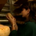 Porodica Vinkler zamenila gradsku vrevu mirnim životom na farmi, a sada proizvode nadaleko čuven kozji sir