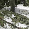 Hiljade domova u Jablaničkom okrugu bez struje, osim u Crnoj Travi