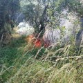 Požari u atarima četiri sela, vatra zahvatila i poljoprivredne površine, u pomoć pristižu i meštani