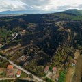Glamočić: Požari pogodili brojna gazdinstva u istočnoj Srbiji, obezbeđen novac za nadoknadu štete