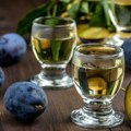 Rakija šljivovica predmet istraživanja Filozofskog fakulteta