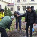 Maturanti će se okupljati oko svog drveta