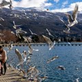 Ohridsko jezero se ‘otrglo’ od zime – fotografije