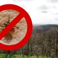 Kreće sezona krpelja! Zbog ove greške bakterije mogu pravo u krv, evo kako pravilno da ga izvadite