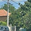 Ovde je Luka izbo bivšu devojku i njenog dedu: Tog dana tri puta zvao da preti da će je ubiti