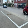 Da li je drveće platilo parking? Parking mesta u glavnoj ulici zauzele sadnice