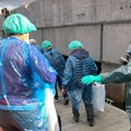 SZO: Putnici sa broda "MV Hondius" mogu da se vrate kući nakon ukidanja karantina