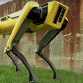 Radnici potpisali peticiju protiv prodaje robotskih pasa imigracionoj službi SAD