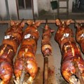 Inspekcija prekontrolisala 17 pečenjara u Čačku, oduzeto 166 kilograma mesa