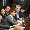 Rasprava oko glasača iz RS na sednici Odbora za dijasporu i Srbe u regionu
