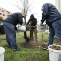 FOTO, VIDEO: Ispred Banovine "sahranjena" poljoprivreda, poziv na odlazak traktorima u Beograd